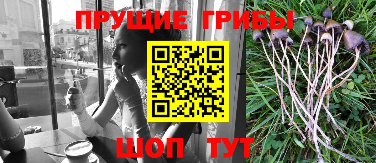 Архангельск  где продают наркотики  Вход с VPN  Галлюциногенные грибы прущие грибы 