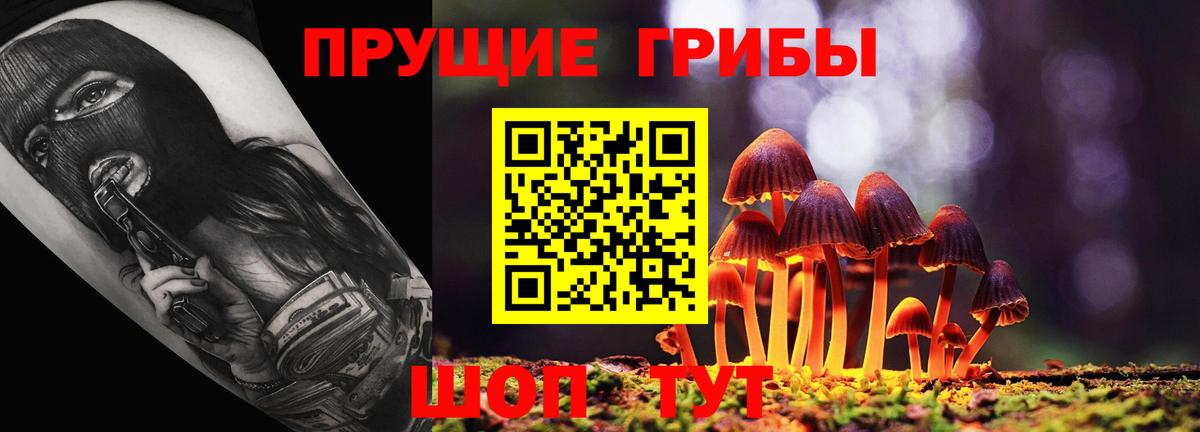 Псилоцибиновые грибы Psilocybine cubensis Архангельск